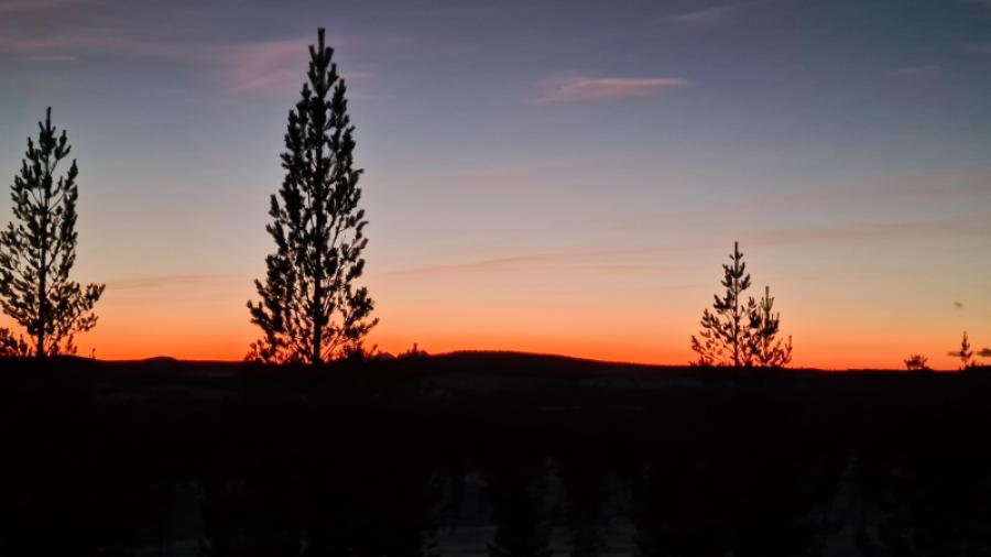 Solnedgång från Nicolaus väg